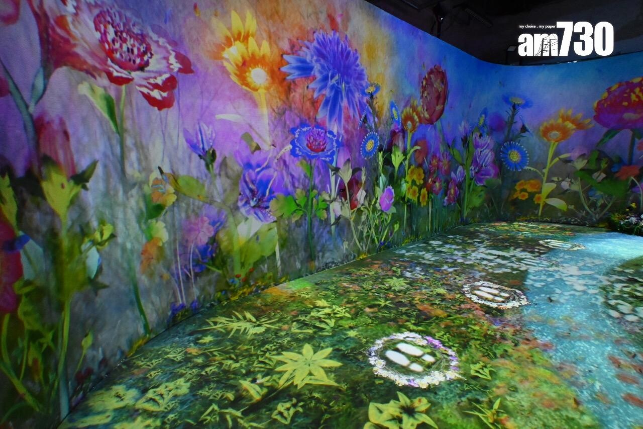 第三展區:野生花園 WILD FLOWER GARDEN